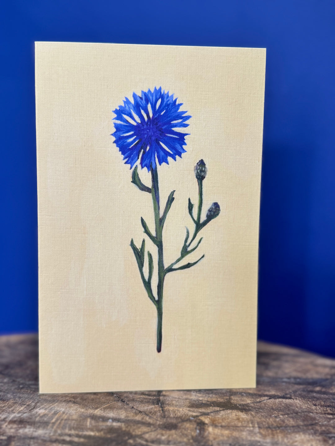 Greeting Card Cornflower | Australian Artist - Art