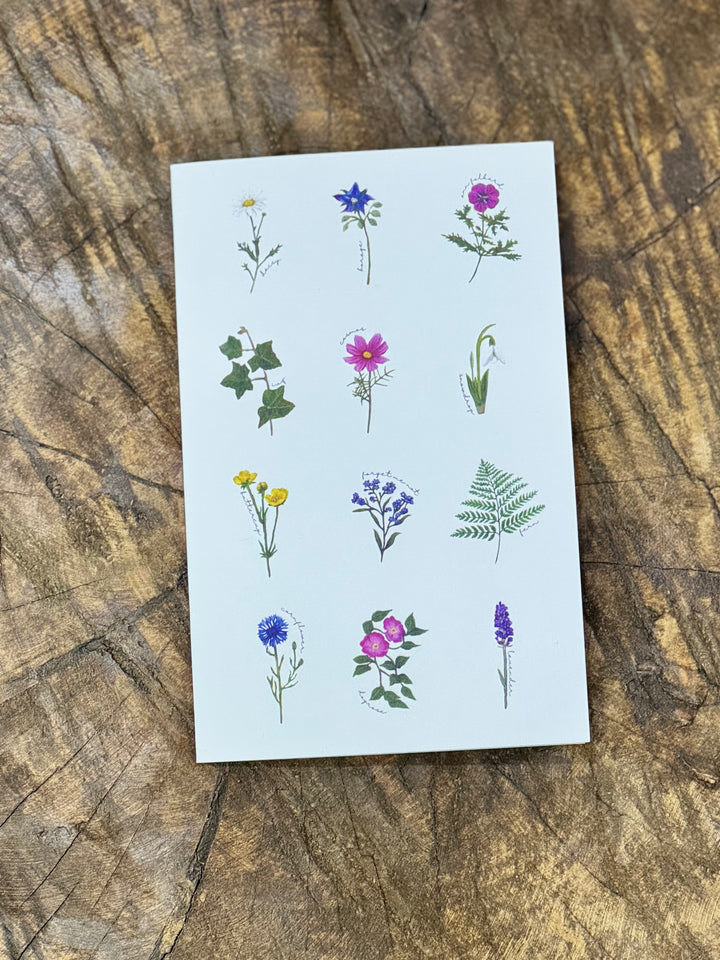 Greeting Card - Peiteal Vineyard | Art Dove - Geelong Artist