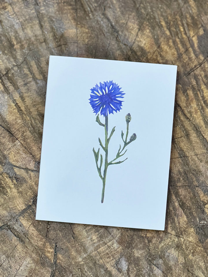 Greeting Card - Pastel Flower Range | Australian Artist