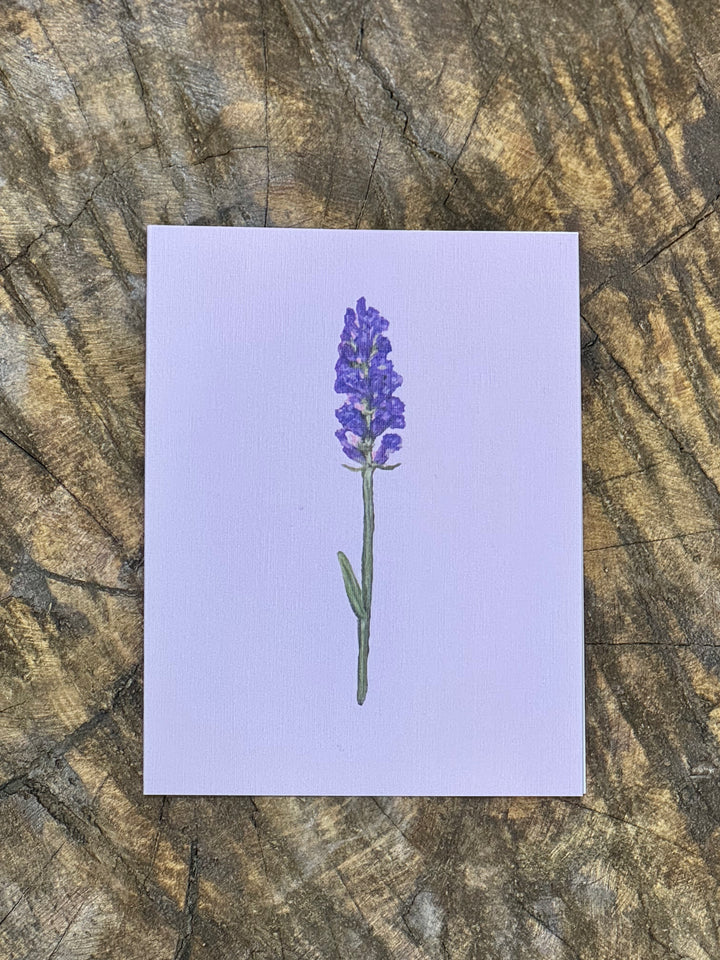 Greeting Card - Pastel Flower Range | Australian Artist