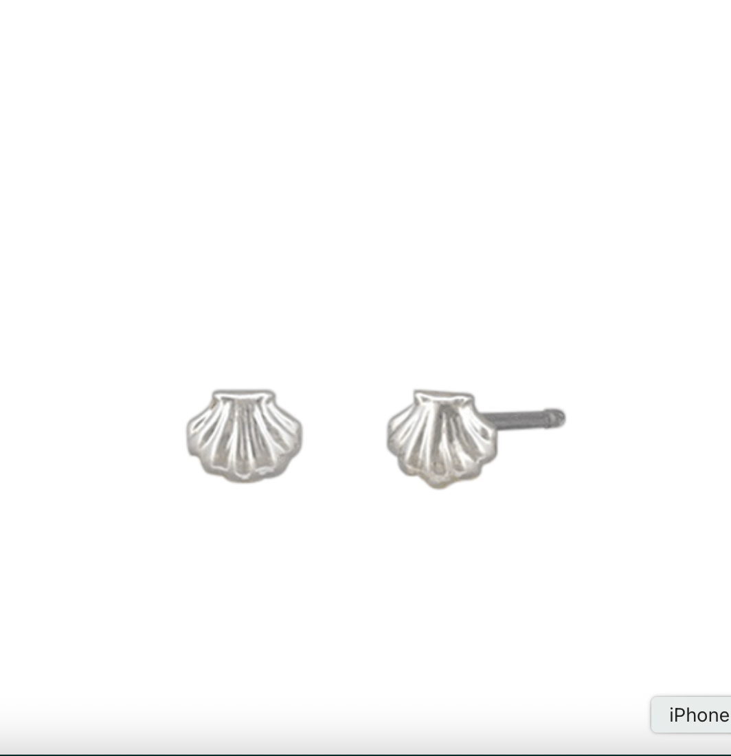 Baby Scallop Stud Earrings by Tiger Tree - Jewellery