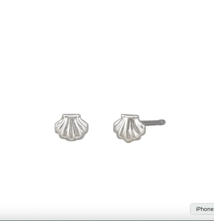 Baby Scallop Stud Earrings by Tiger Tree - Jewellery