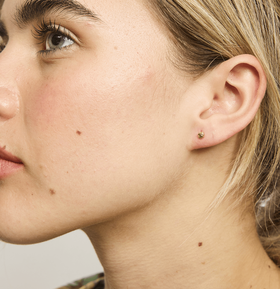 Baby Scallop Stud Earrings by Tiger Tree - Jewellery