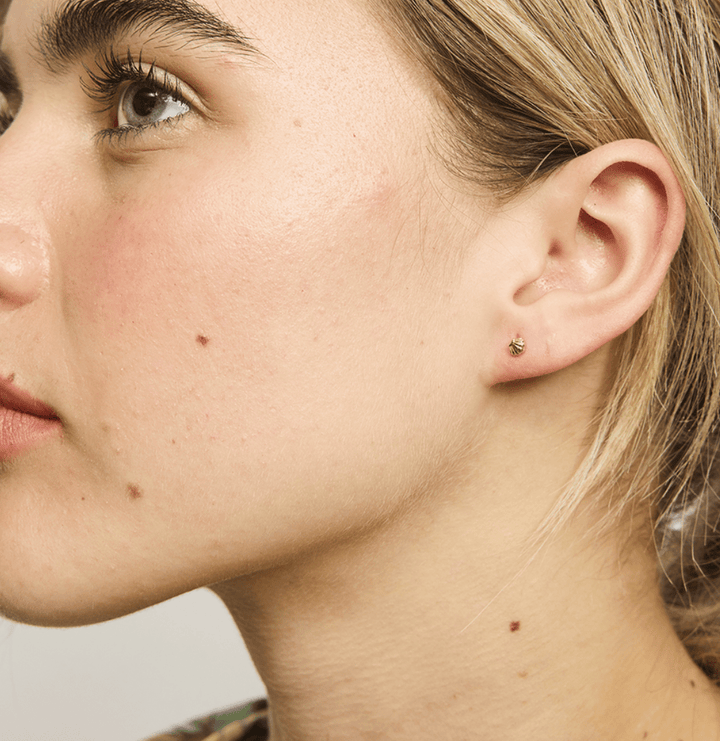 Baby Scallop Stud Earrings by Tiger Tree - Jewellery