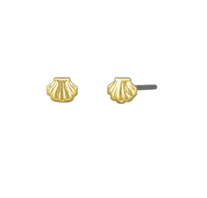 Baby Scallop Stud Earrings by Tiger Tree - Jewellery