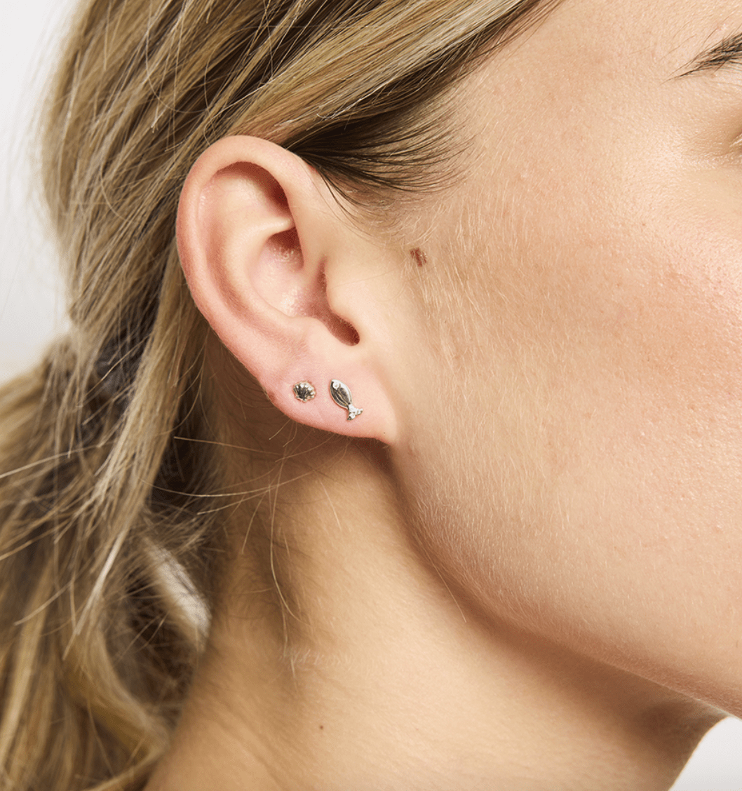 Baby Scallop Stud Earrings by Tiger Tree - Jewellery