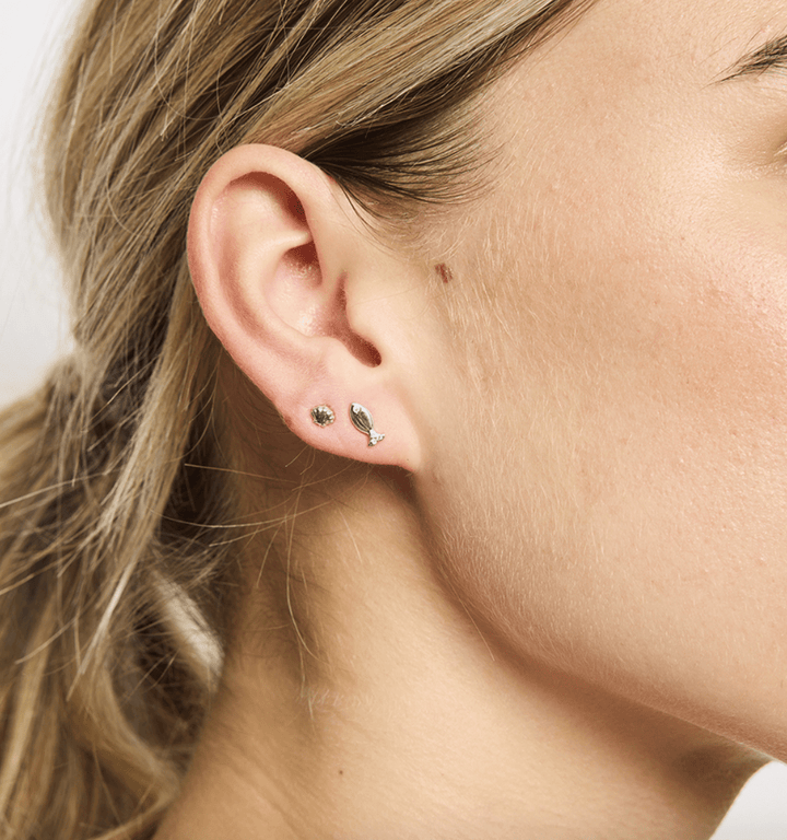 Baby Scallop Stud Earrings by Tiger Tree - Jewellery
