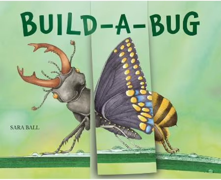 Build-a-Bug: Make Your Own Wacky Insect