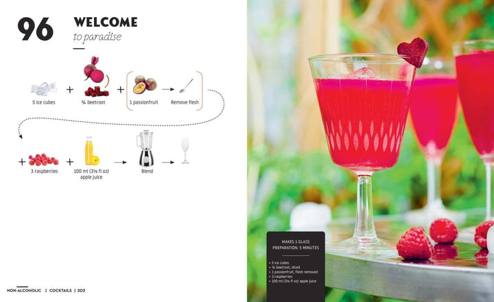 Cocktails & Canapes Step by Step: An Easy Guide - Cookbook