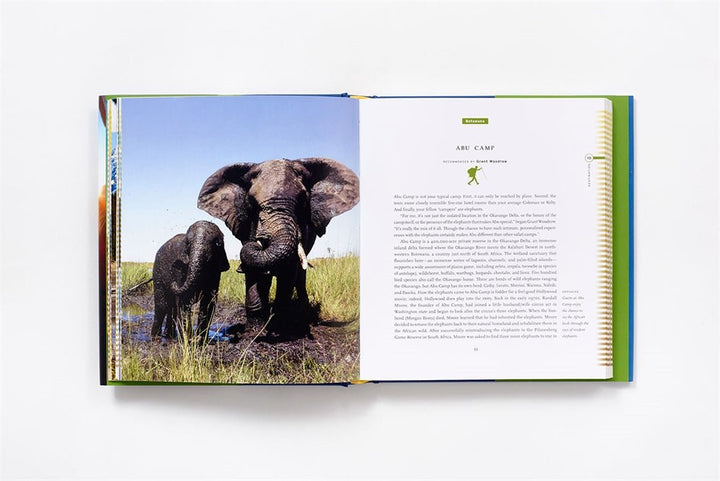 Fifty Places to Play Camp Before You Die - Book