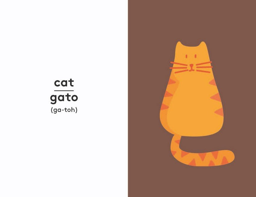 First Words : Spanish by Lonely Planet - Childrens Books