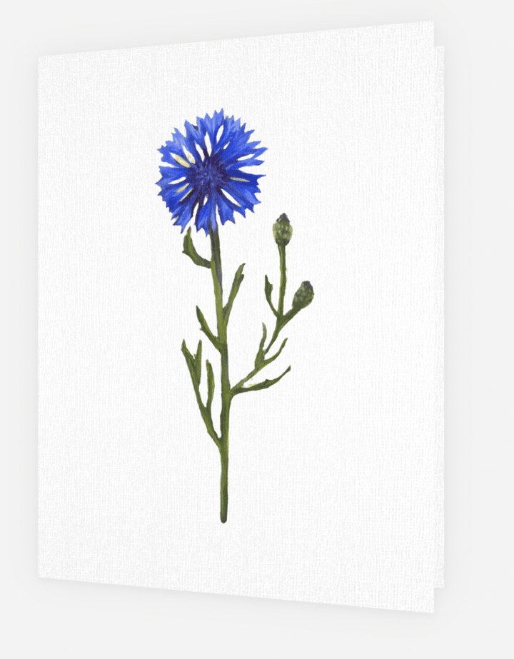 Greeting Card - Pastel Flower Range | Australian Artist - Greeting Card