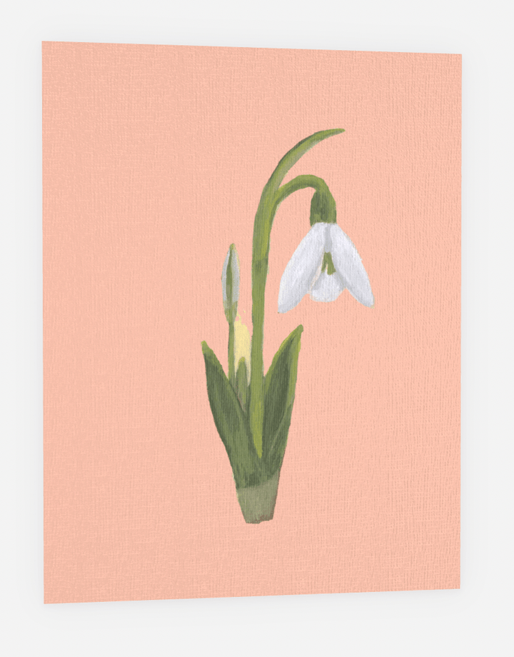 Greeting Card - Pastel Flower Range | Australian Artist - Greeting Card