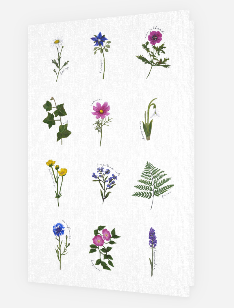 Greeting Card - Peiteal Vineyard | Geelong Artist