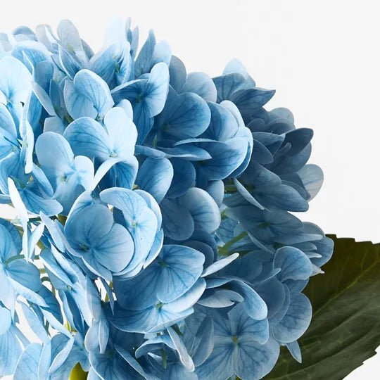 Hydrangea | Premium Artifical Flower Stem - Artificial Flowers & Greenery