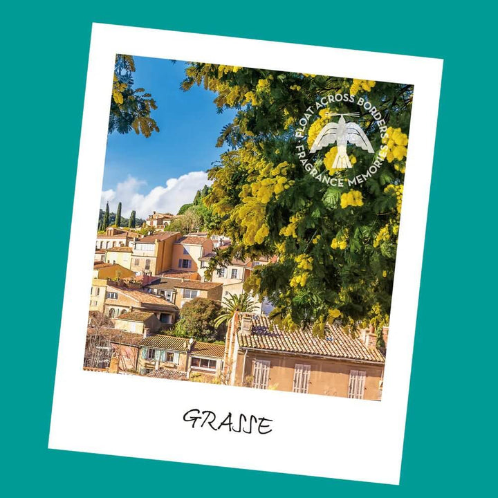 Nippon Kodo Fragrance Memories Incense - Provence Mimosa / France - Incense