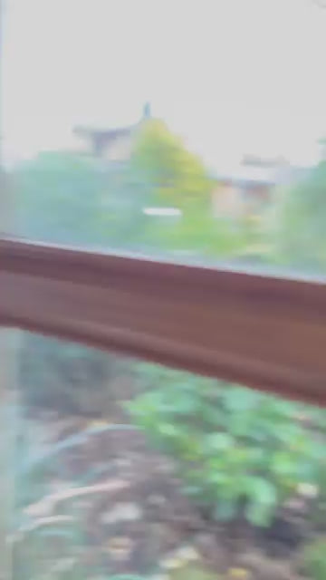 Bamboo Pyjama - Classic Set in Baby Blue