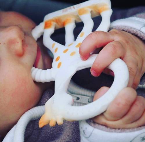 Sophie la Girafe Teething RIng - Baby & Kids