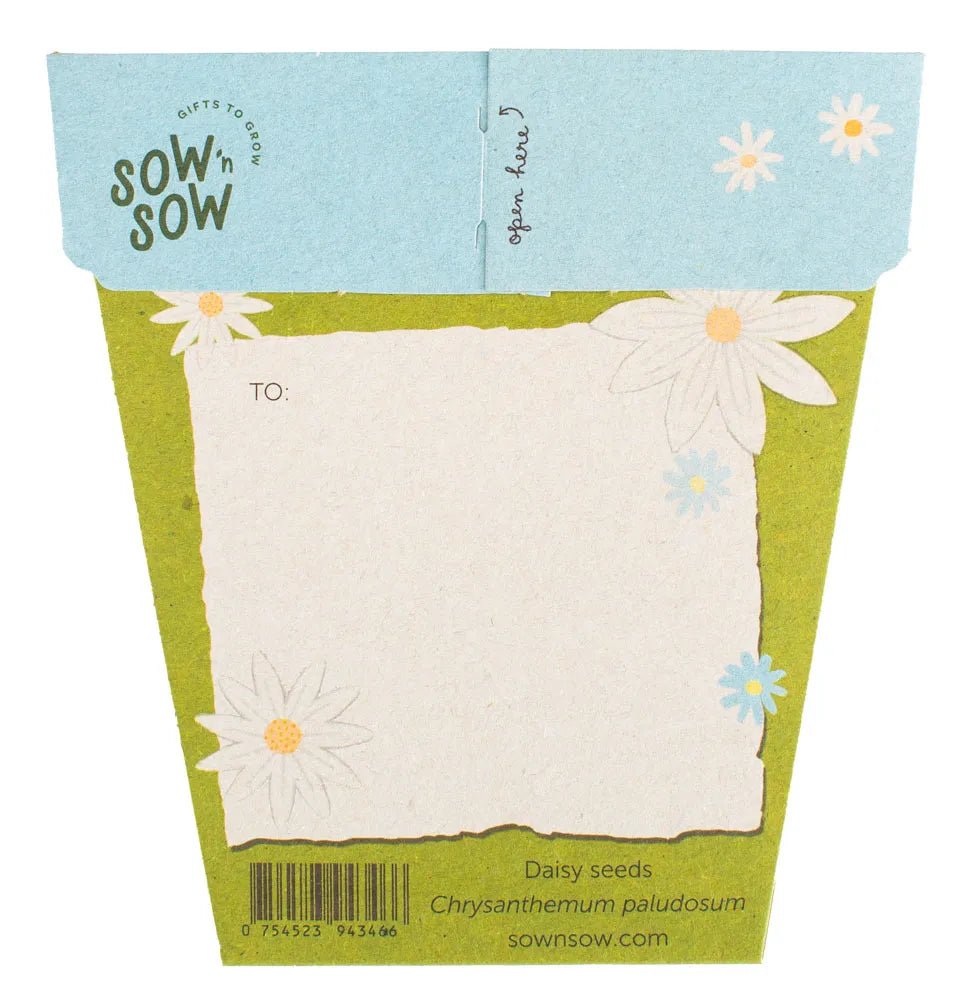 Sow n Sow Gift of Seeds - Daisy - Seeds