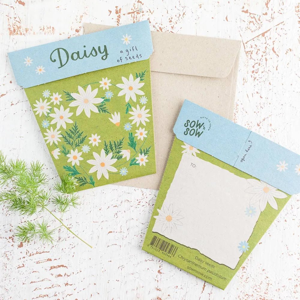 Sow n Sow Gift of Seeds - Daisy - Seeds