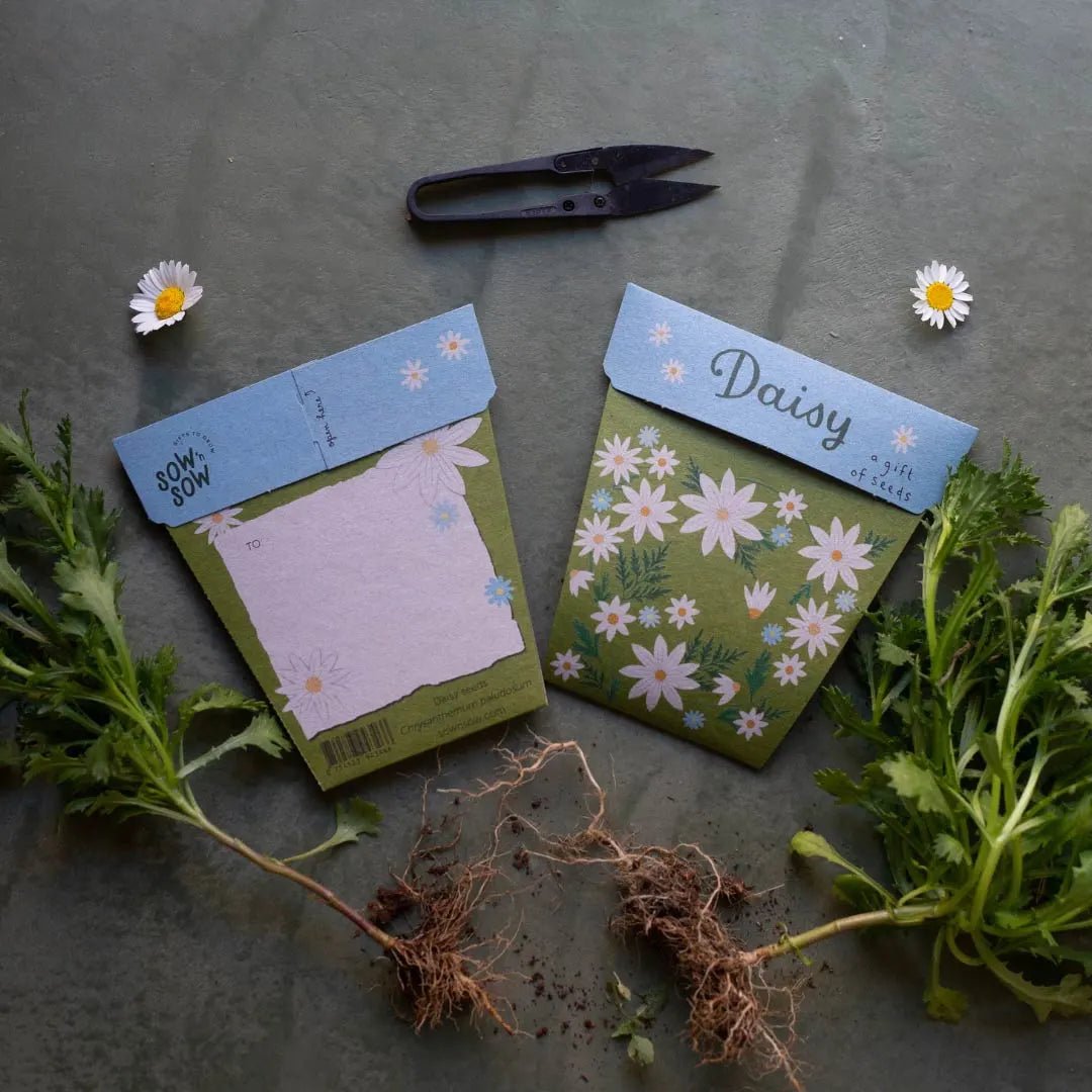 Sow n Sow Gift of Seeds - Daisy - Seeds