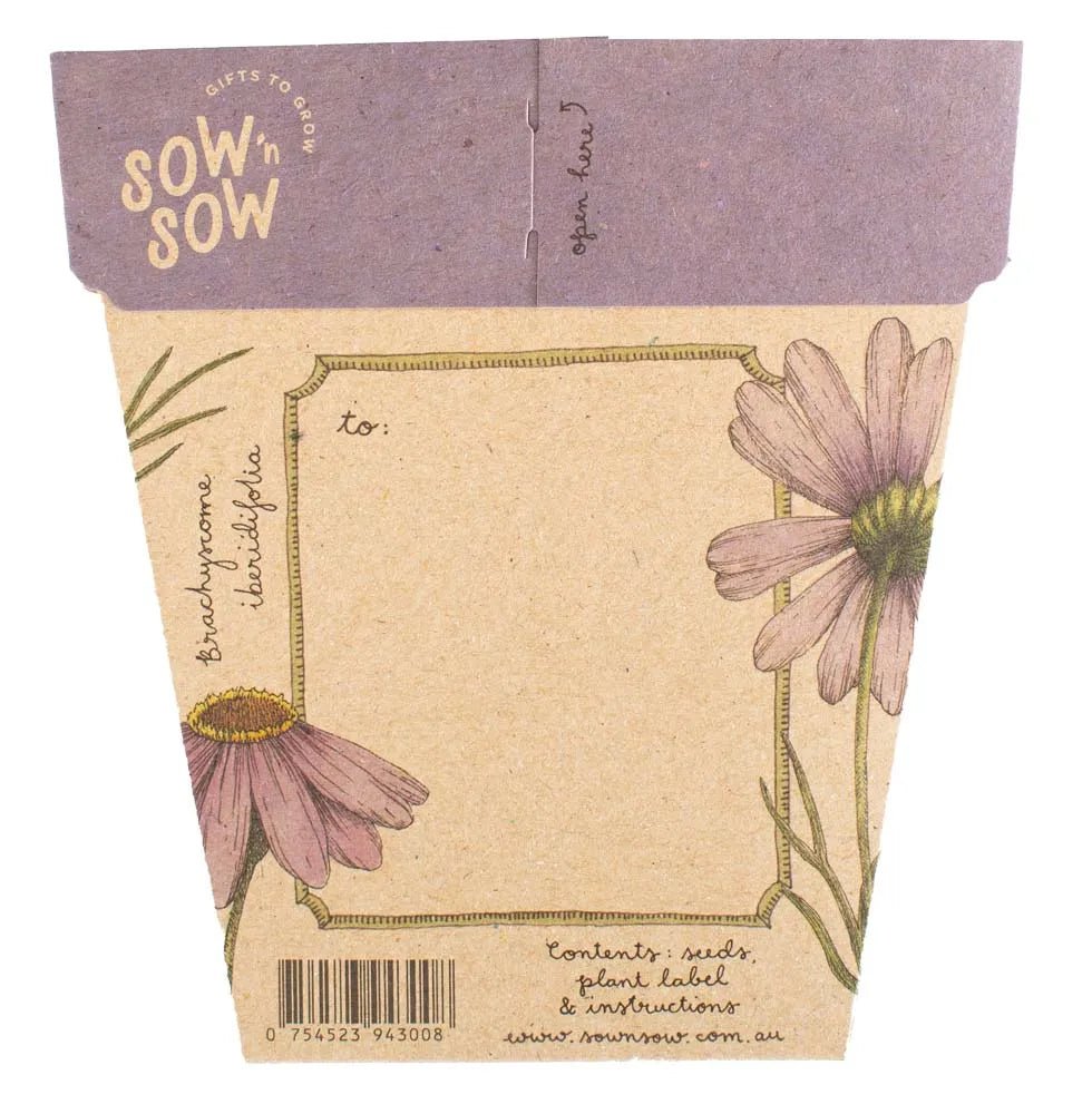 Sow n Sow Gift of Seeds - Swan River Daisy - Greeting Card