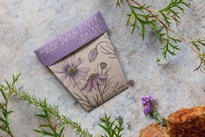 Sow n Sow Gift of Seeds - Swan River Daisy - Greeting Card