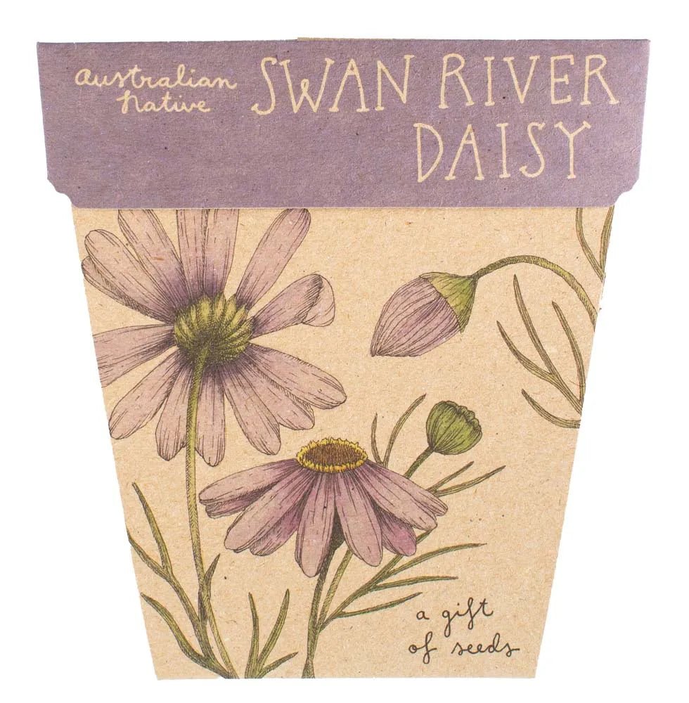 Sow n Sow Gift of Seeds - Swan River Daisy - Greeting Card