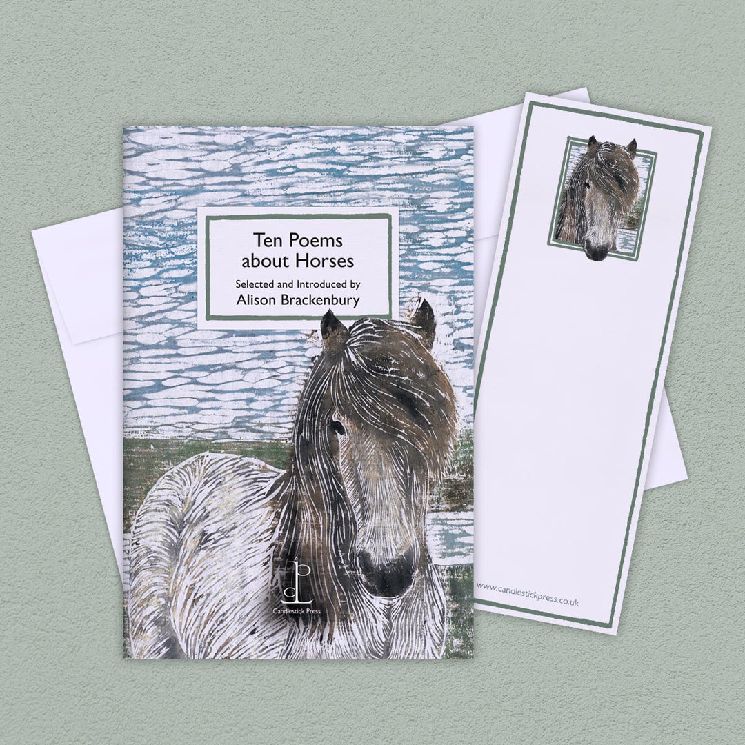 Ten Poems about Horses | Alison Brackenbury - Book