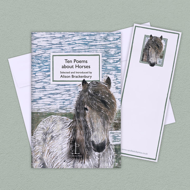 Ten Poems about Horses | Alison Brackenbury - Book