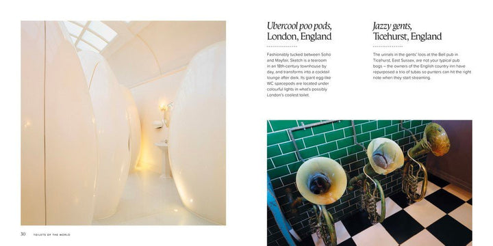 Toilets of the World 100 Strange and Spectacular Thrones, Commodes, Loos, and Latrines - Book