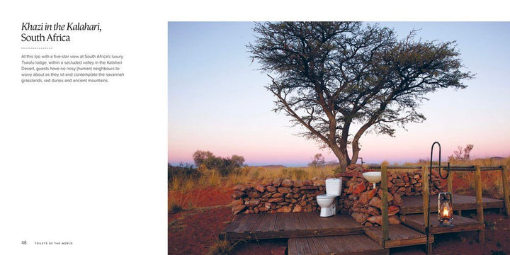 Toilets of the World 100 Strange and Spectacular Thrones, Commodes, Loos, and Latrines - Book