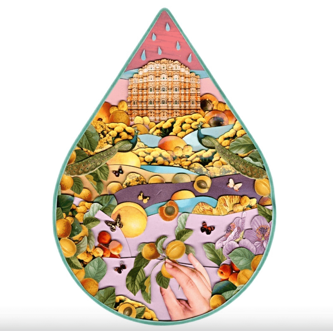 World of Oils - Blue Tansy + Apricot Oil - Bath and Body