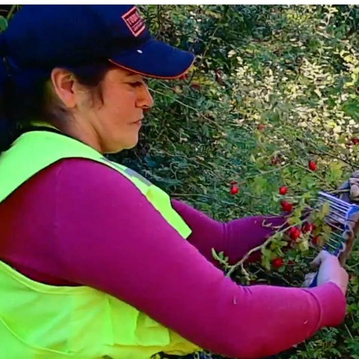 World of Oils - Rosehip Oil - Bath and Body