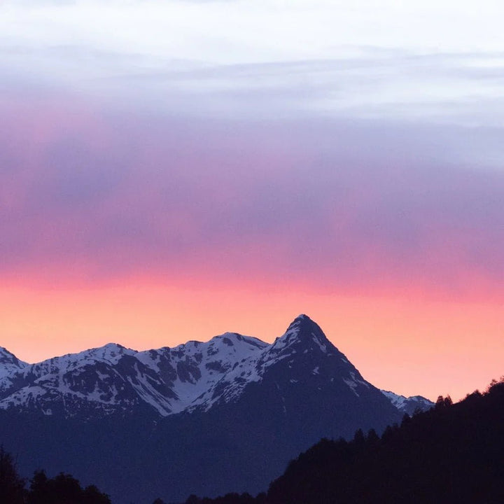 World of Oils - Rosehip Oil - Bath and Body