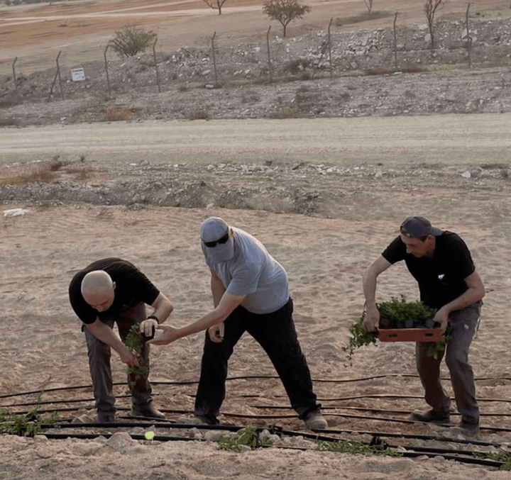 World of Oils - Santal & Jojoba Oil - Bath and Body