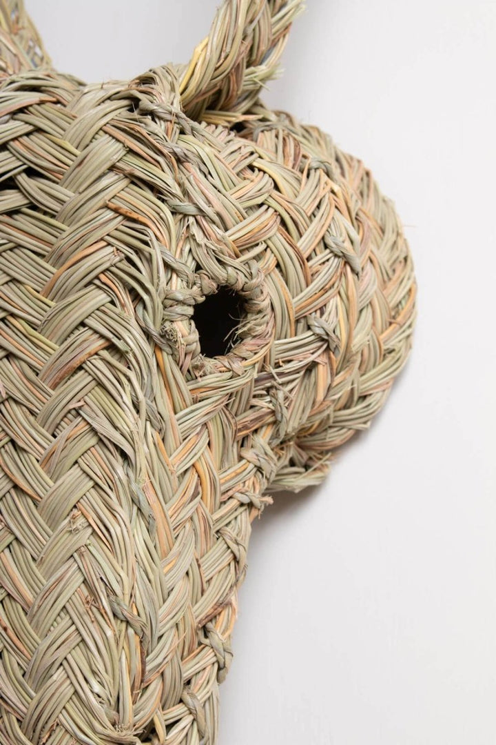 Woven Animal Head - Donkey - For the wall