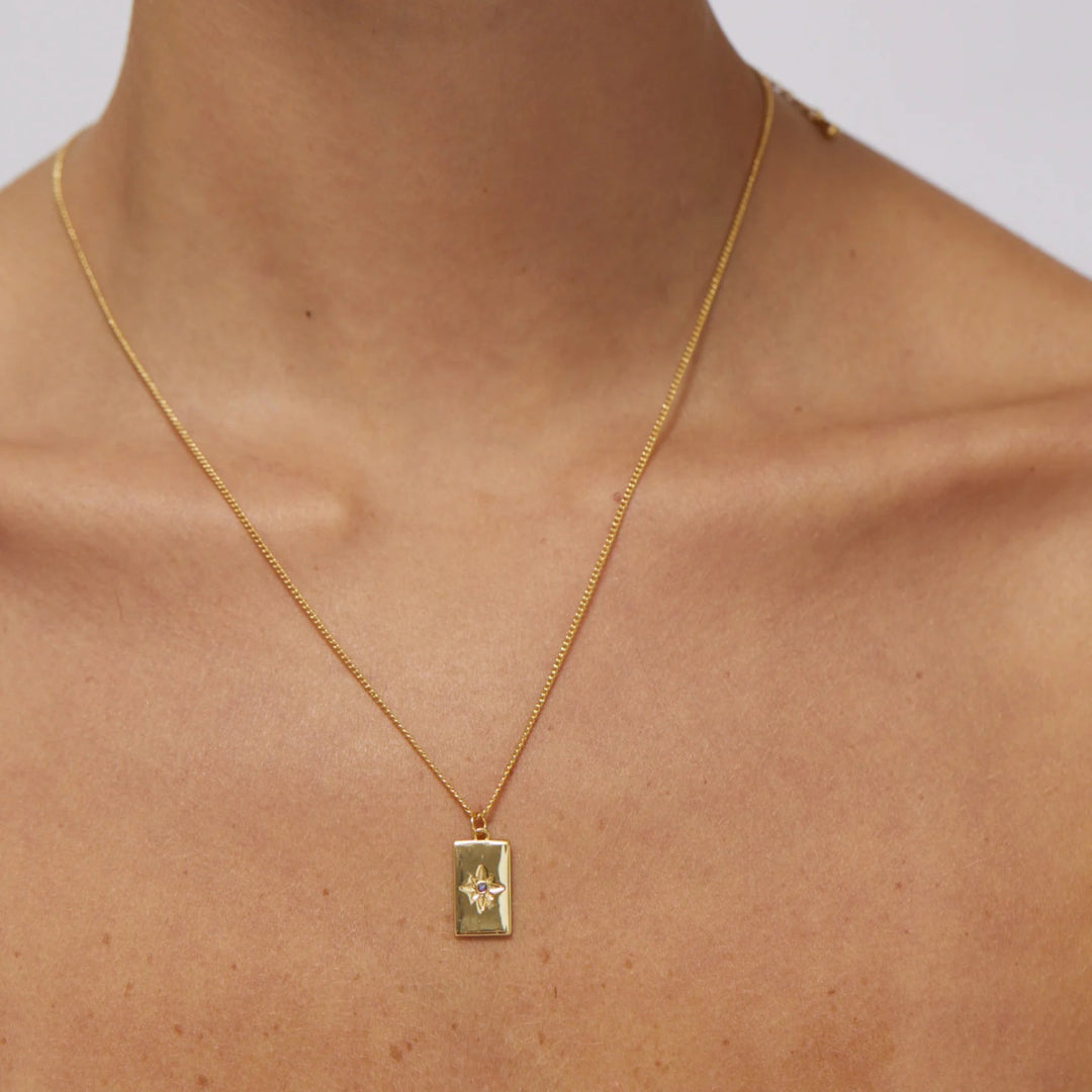 Birthstone Necklace - February - Jewellery