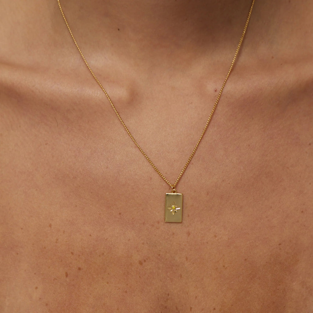 Birthstone Necklace - November - Jewellery