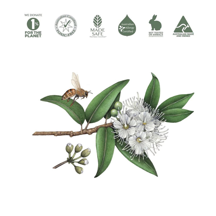 Koala Eco Natural Dish Soap - Dish Soap