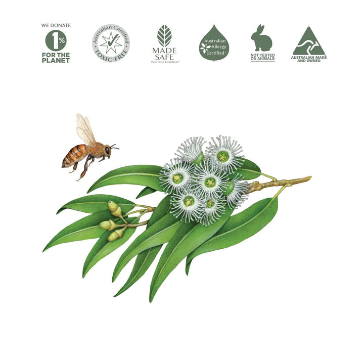 Koala Eco Natural Hand Wash - Lemon Scented Eucalyptus & Rosemary - Bath and Body