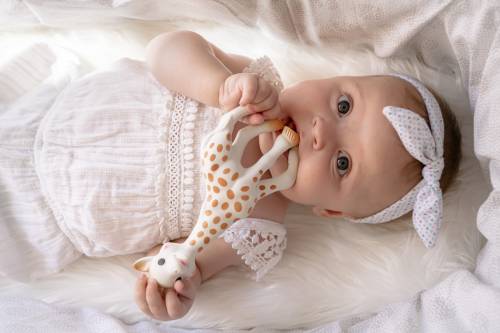 The Story of Sophie the Giraffe: From Paris to Playrooms Around the World - Jade and May