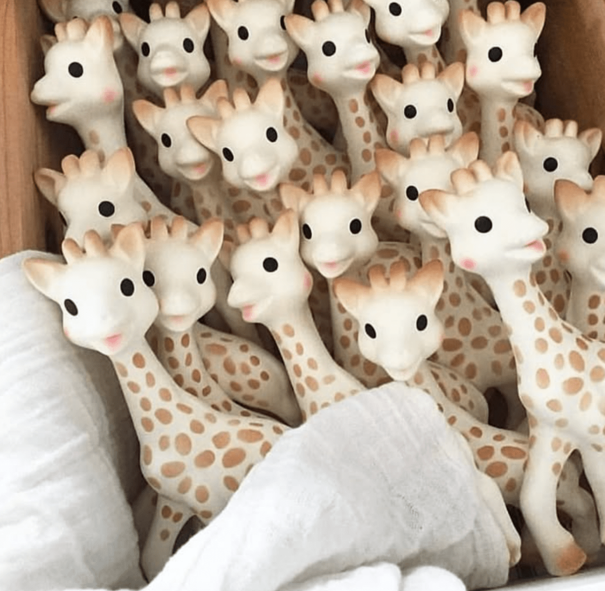 Sophie the Giraffe & Friends - Jade and May