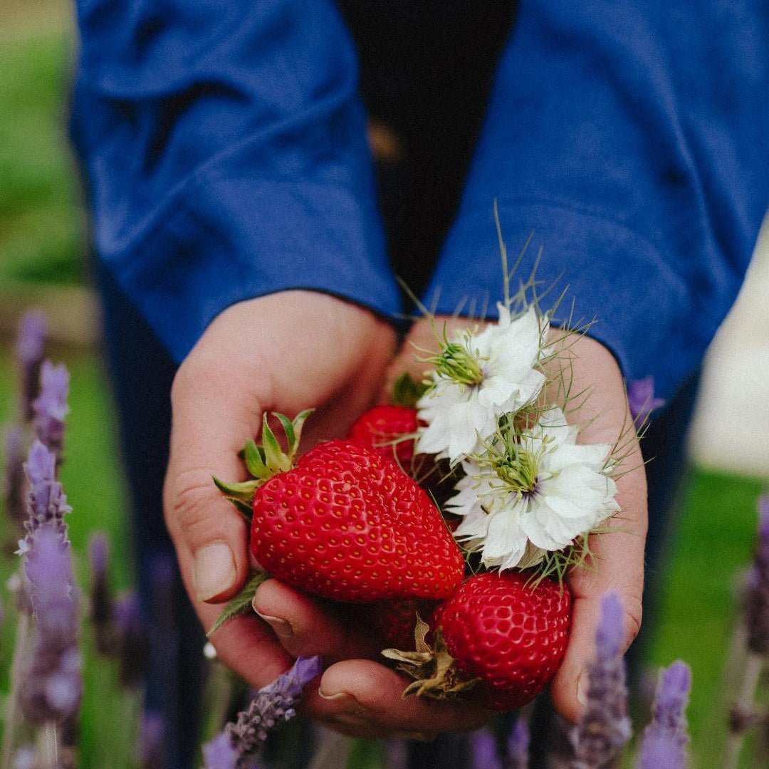 Valentine's Day - Jade and May