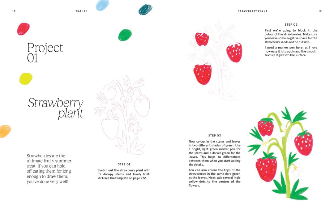 Lunchbox Bible by Julia Tellisdis | Cookbook