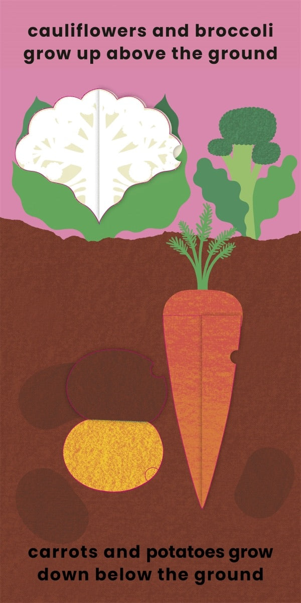 Love Veggies with Jamie Oliver