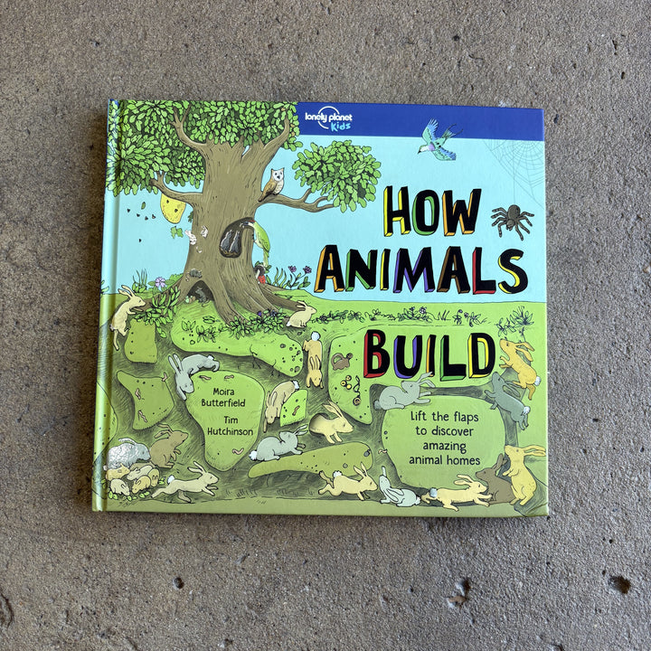 How Animals Build | Lonely Planet Kids