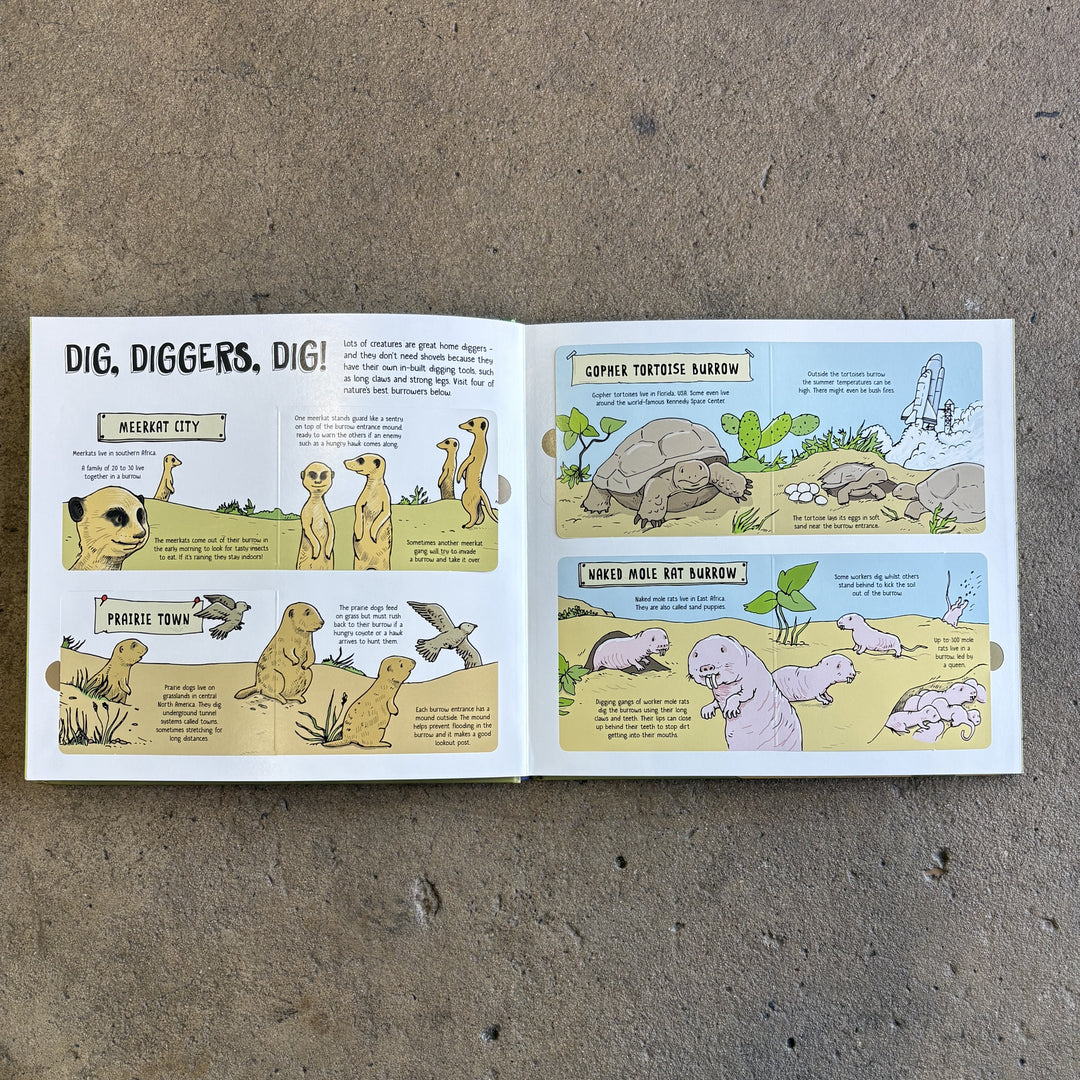 How Animals Build | Lonely Planet Kids