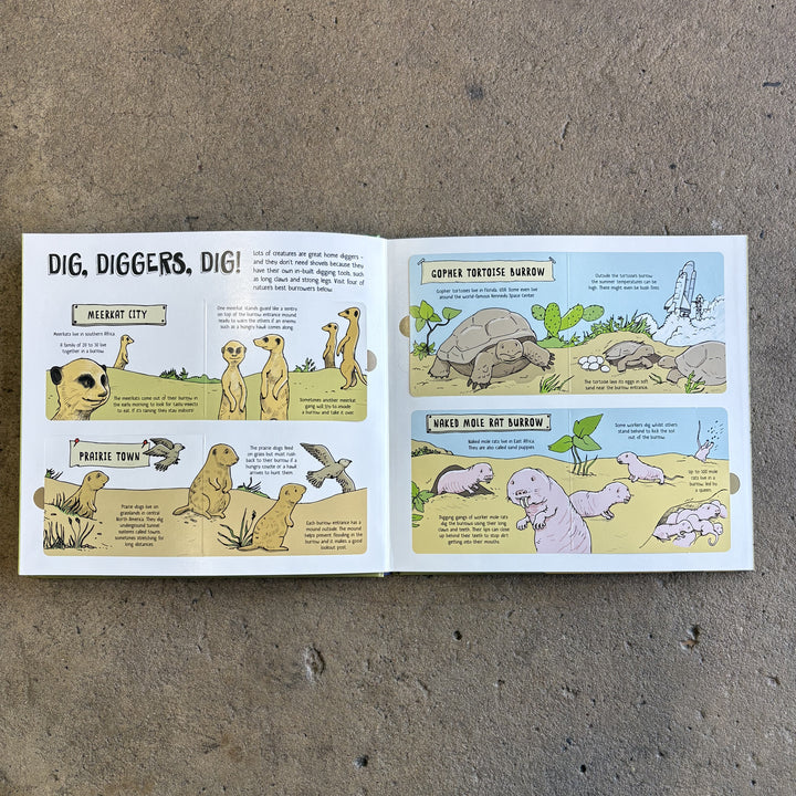 How Animals Build | Lonely Planet Kids