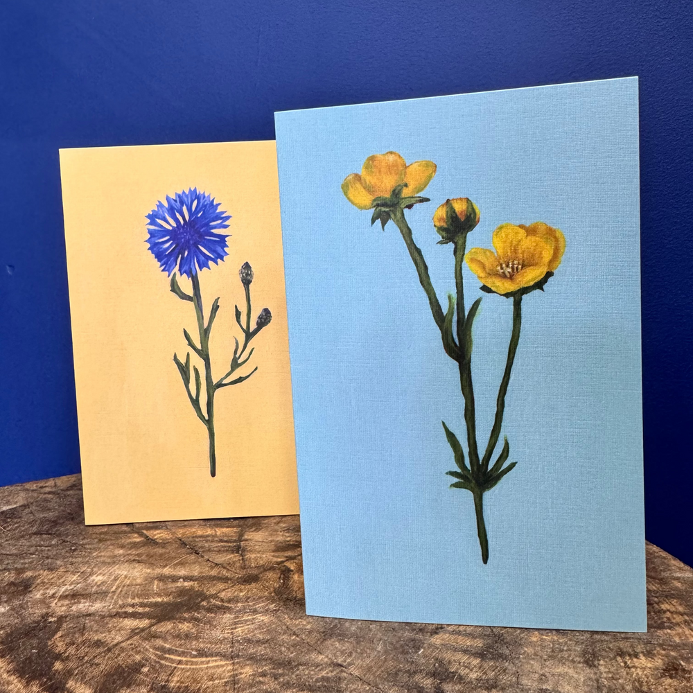 Greeting Card - Buttercup | Australian Artist - Art